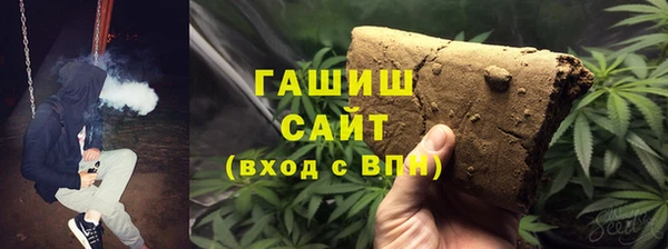 шишки Новозыбков
