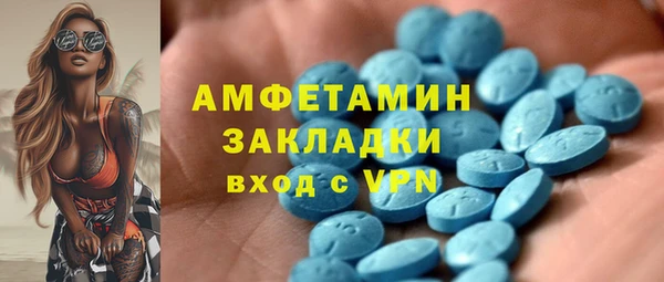 шишки Новозыбков