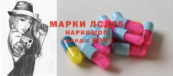шишки Новозыбков