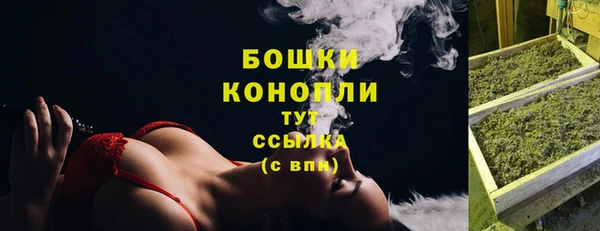 спайс Новодвинск