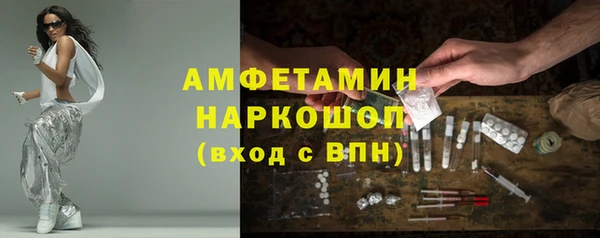 шишки Новозыбков