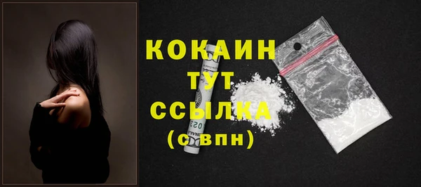 спайс Новодвинск