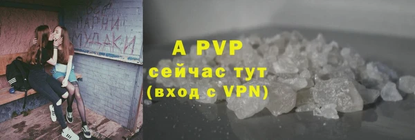 спайс Новодвинск