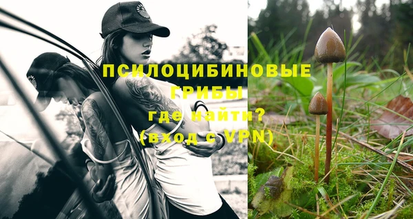 спайс Новодвинск