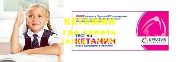 шишки Новозыбков