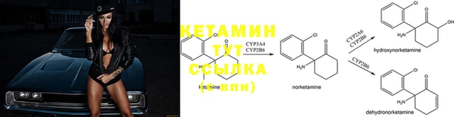 каннабис Новокубанск