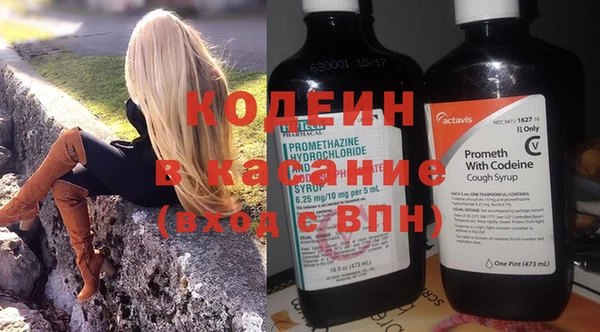 шишки Новозыбков