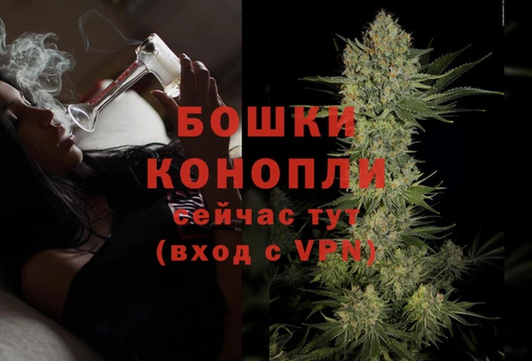 спайс Новодвинск