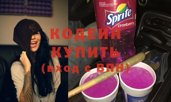 шишки Новозыбков