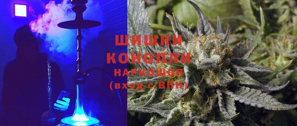 шишки Новозыбков