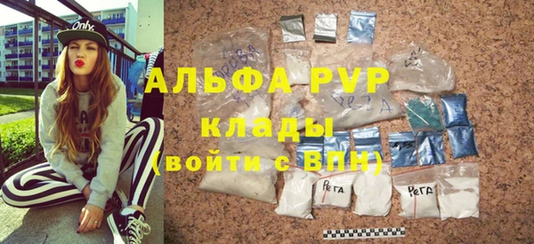 шишки Новозыбков